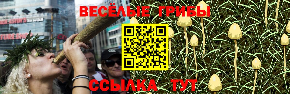 Псилоцибиновые грибы Psilocybine cubensis  Галлюциногенные грибы Cubensis  Вход с VPN  Красногорск 